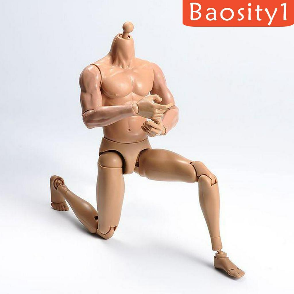 Mô hình cơ thể người nam tỉ lệ 1/ 6