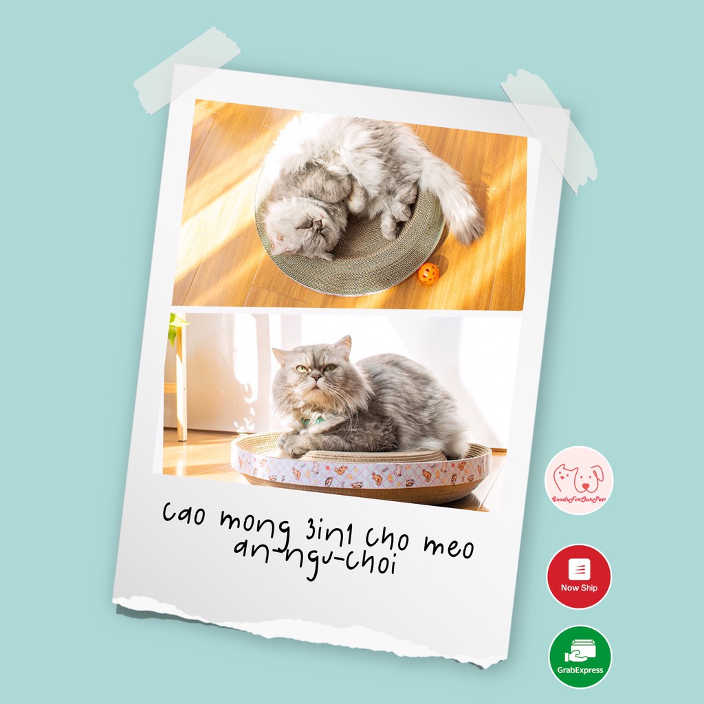 [Bản cải tiến 3in1]Cào móng kết hợp ổ nằm và đồ chơi cho mèo 3in1