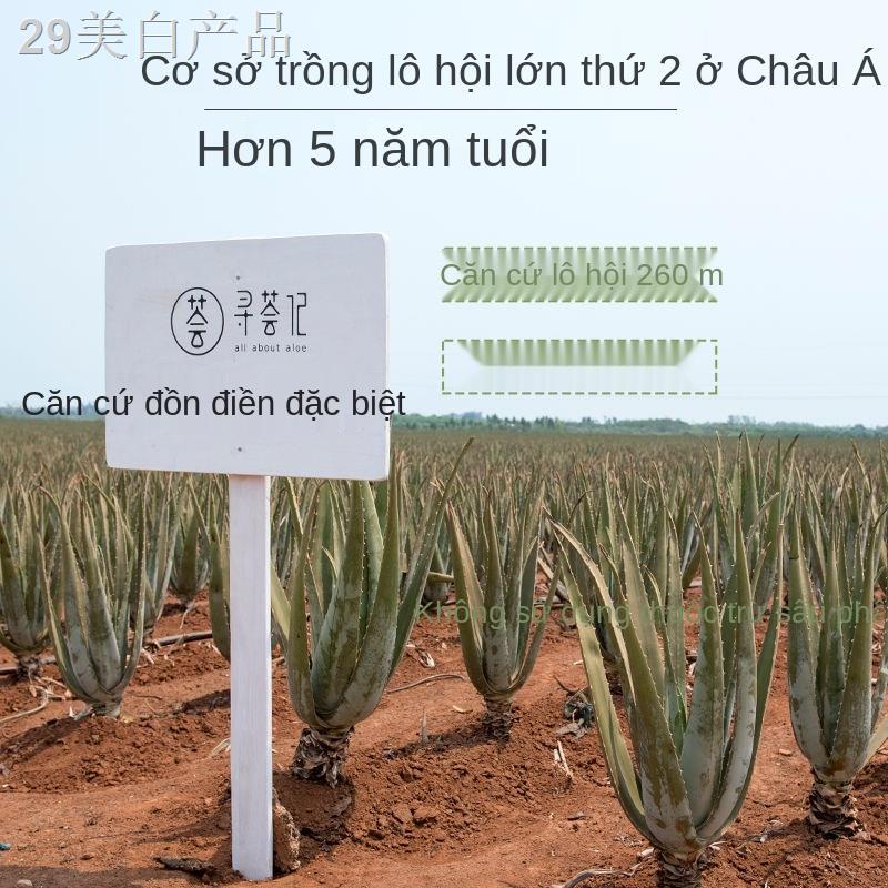 ZTìm kiếm gel lô hội chính hãng in mụn sau mặt trời sửa chữa kem dưỡng ẩm sản phẩm chăm sóc cho nam và nữ huấn luyện