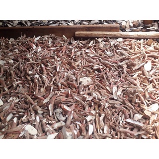1kg Sâm cau khô (Hàng băm tay chọn đẹp)