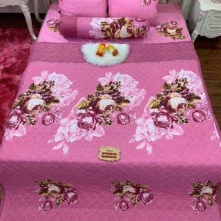 Set ga chun và 2 vỏ gối đầu