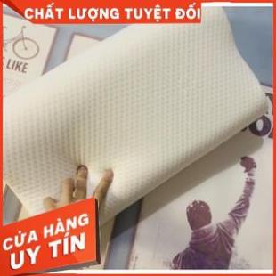 [ Bán Lẻ Giá Sỉ ] Gối Cao Su Non ZaZa Cao Cấp, Gối Cao Su Chông Ngáy Ngủ, Mềm Mại Cho Giấc Ngủ Êm Ái