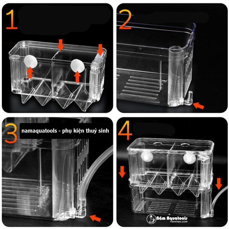 Box Cá/ Tép Acrylic | Lồng Dưỡng, Cách Ly Cá Tép cảnh