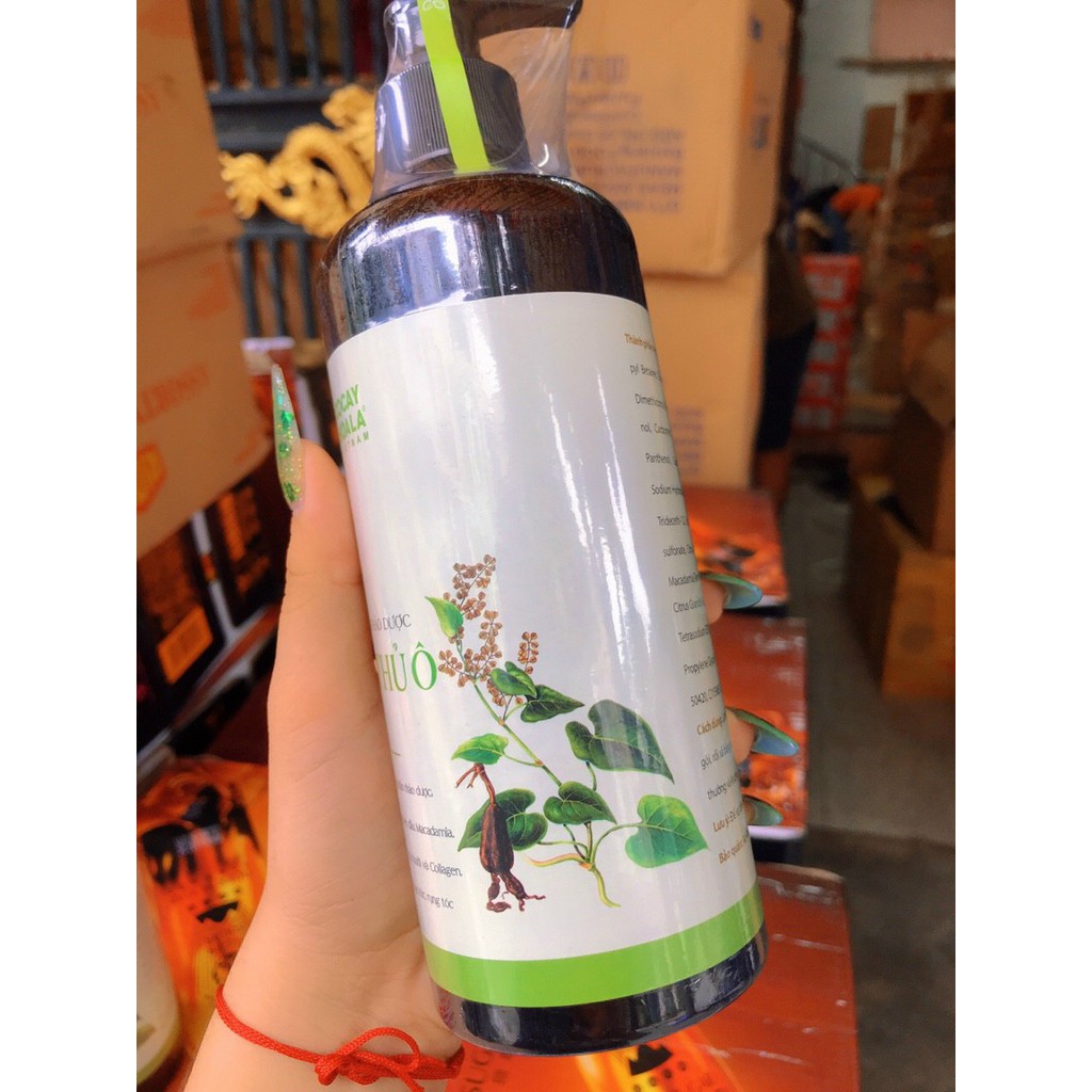 Dầu gội thảo dược Hà Thủ Ô 800ml - mẫu mới