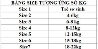 Bộ borip in hình Thái Nga