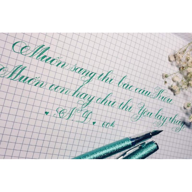 Bút ngòi lá tre thanh đậm