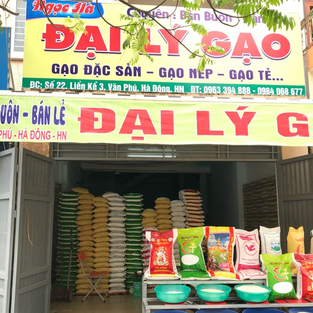 Gaosach