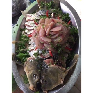Khay cá chép om dưa inox