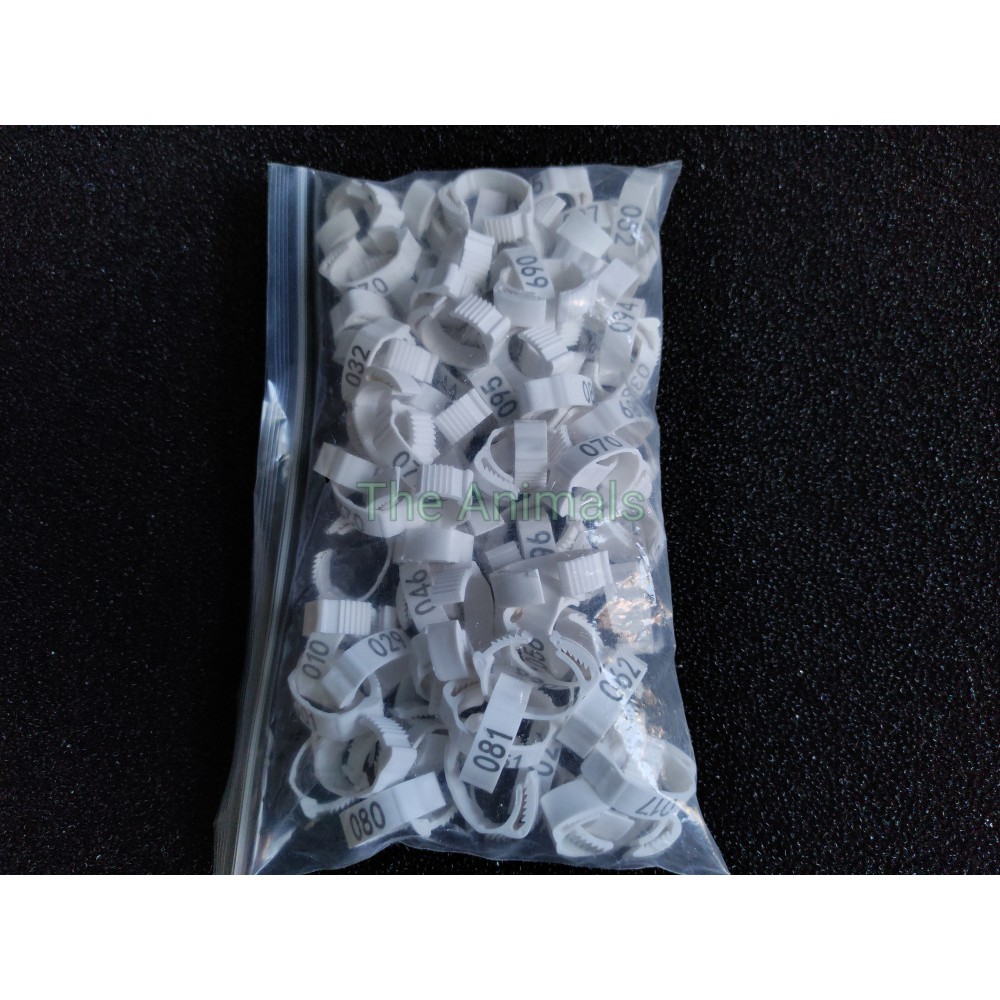 [Bich 100 cái] Vòng đeo chân cho gà, vịt, bồ câu