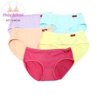QUẦN LÓT COTTON CAO CẤP