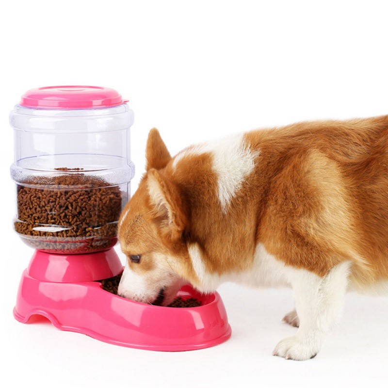 Khay đựng thức ăn/ nước uống tự động cho chó cưng