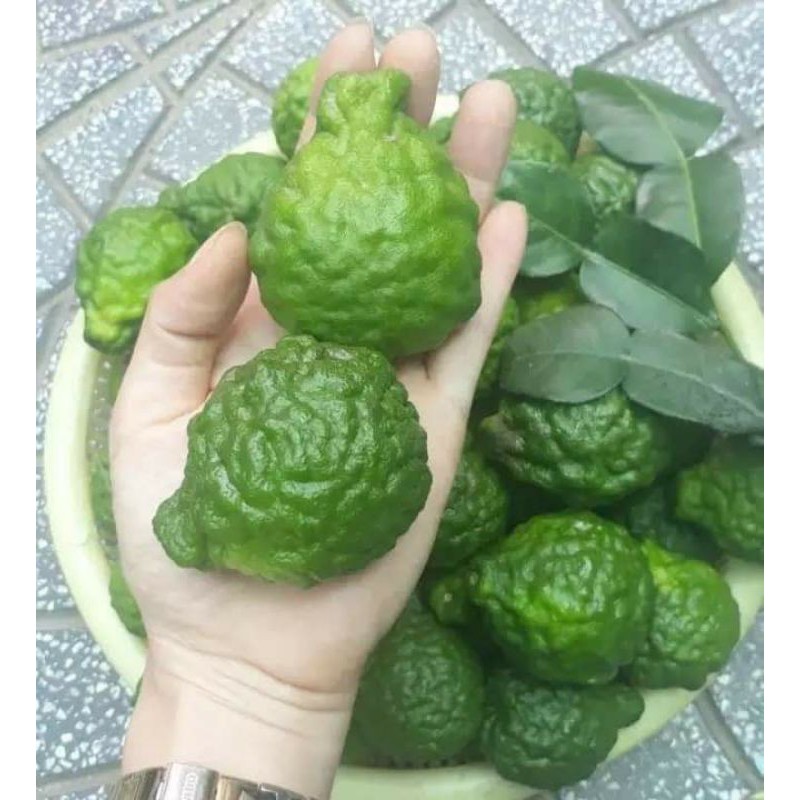 4 Cây chanh chúc