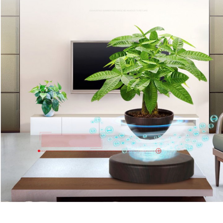 Chậu cây từ Air Bonsai bay lơ lửng nam châm điện vĩnh cửu