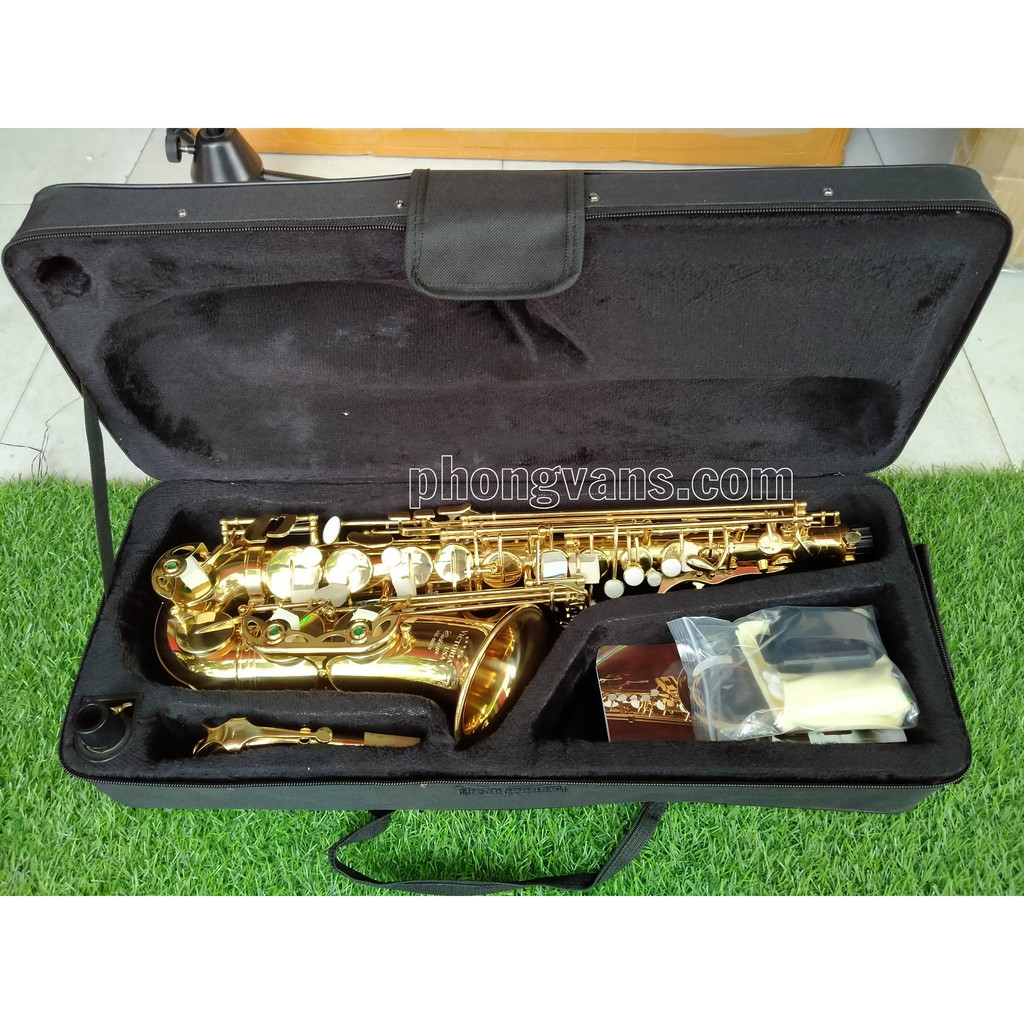 Kèn saxophone alto Victoria VAS-568EX màu vàng
