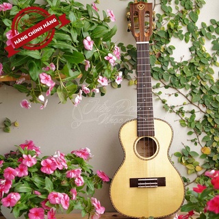 Đàn Ukulele Concert Valote VA 24M01, 24M02, 24R01 Cao Cấp - Kèm Bao Dày Dặn Của Hãng + Pick