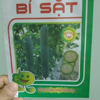 Hạt giống Bí sặt - Rau củ quả trồng tại vườn, sân thượng, nông trang, ban công