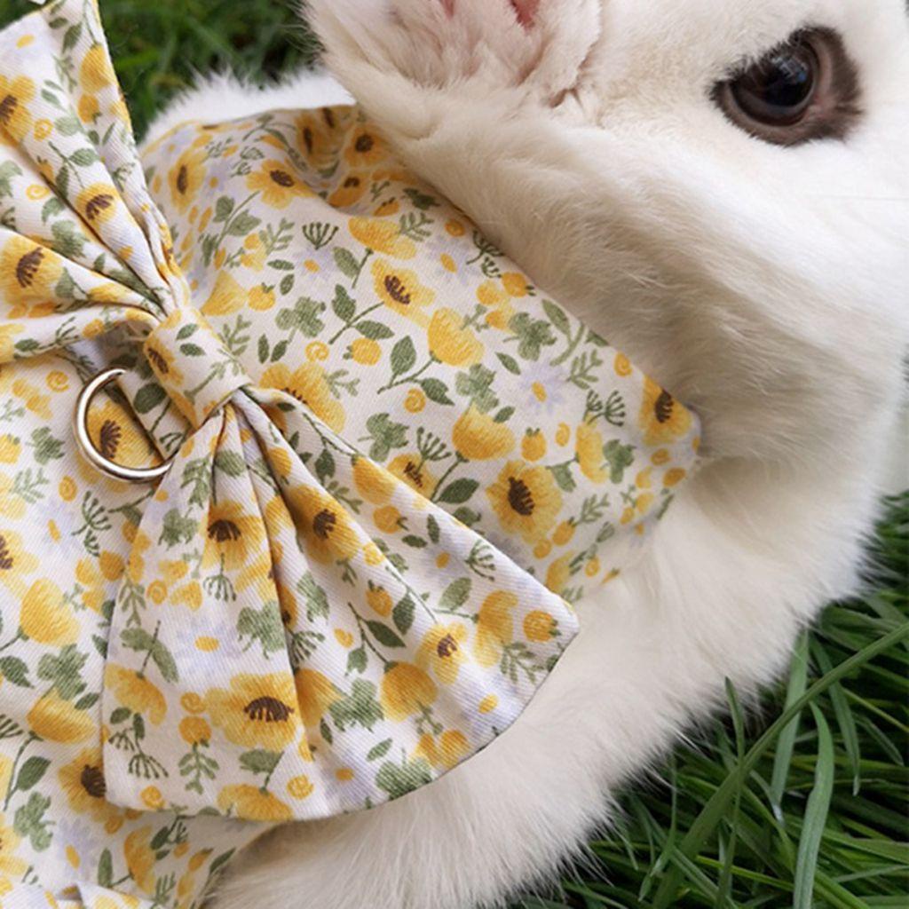 Mocho Đầm Cotton Nhẹ In Hoa Mềm Mại Kèm Dây Dắt Dành Cho Thú Cưng