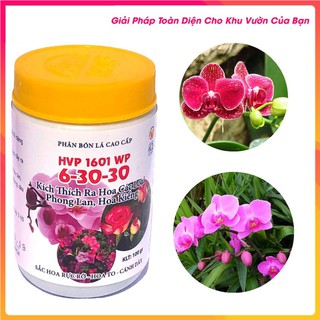 Phân bón lá cao cấp HPV 6-30-30 kích thích ra hoa dùng cho hoa lan, cây cảnh
