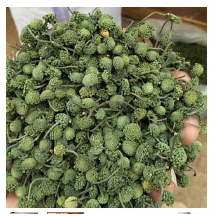 500gr nụ tam thất bao tử( nụ hoa tam thất bao tử) hàng đẹp xanh