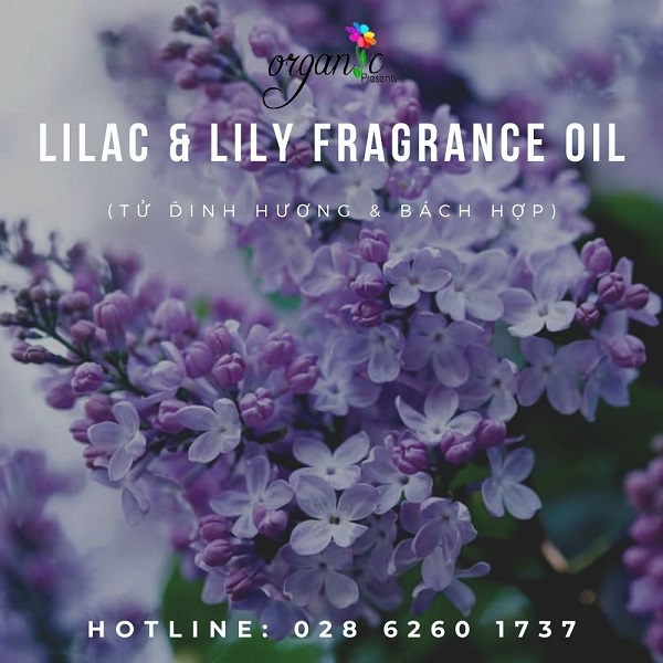 HƯƠNG HOA TỬ ĐINH HƯƠNG & BÁCH HỢP