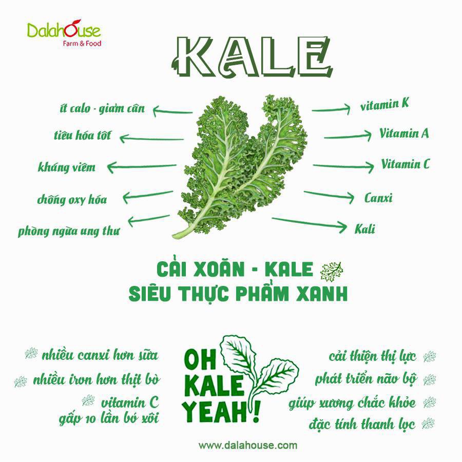 BỘT CẢI XOĂN KALE DALAHOUSE - Giúp hỗ trợ sức khỏe tim mạch, bổ sung vitamin (150g túi)