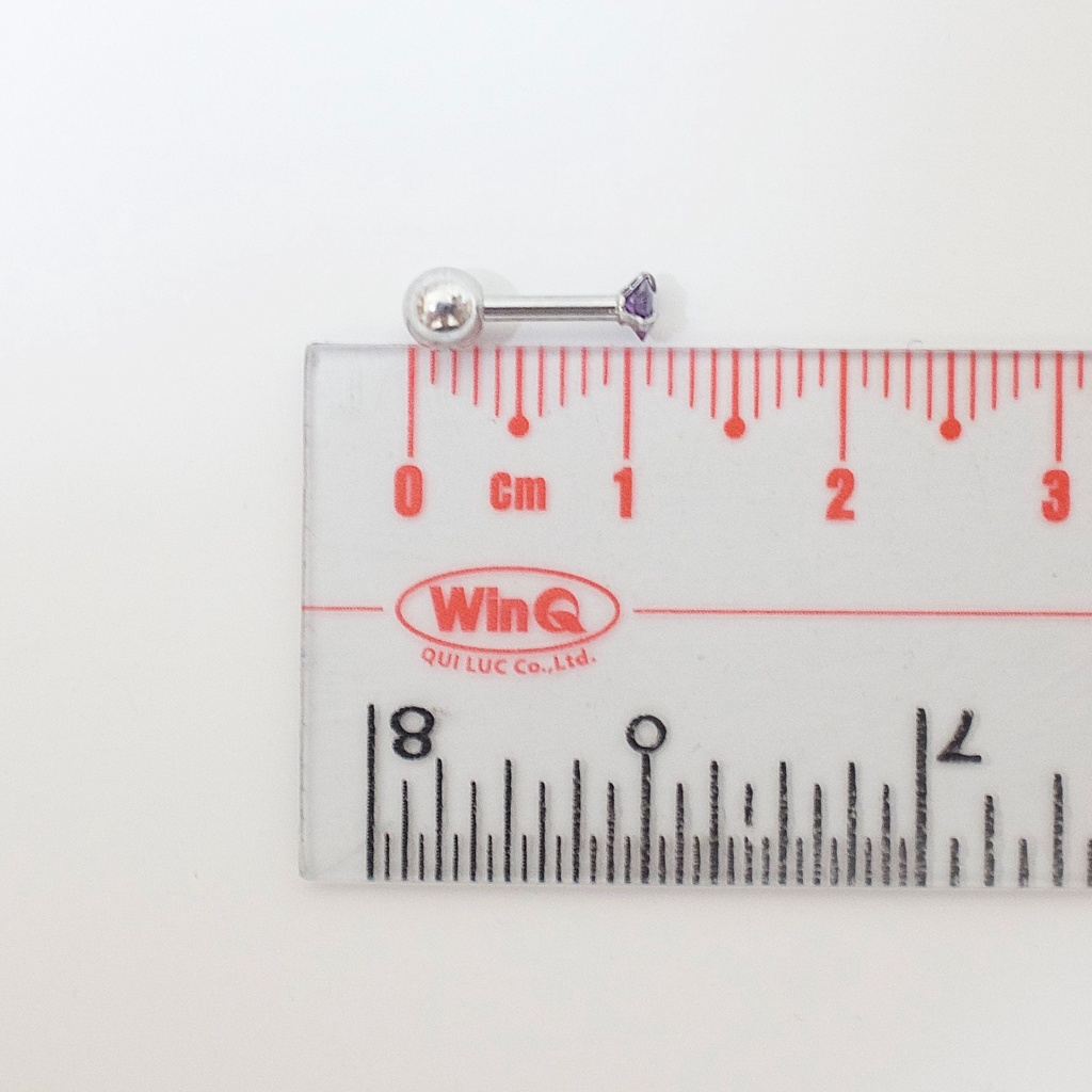 [1 Chiếc] Khuyên Tai Titan Đá Tím Unisex Thân Bạc Đuôi Bi Không Gỉ Sét Không Ngứa Bông Tai Nam Julies Box 66