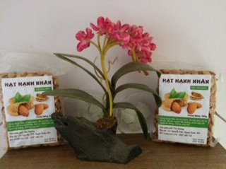 500g hạnh nhân Sapa đã tách vỏ