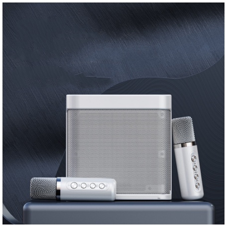 sky - Bộ Loa Karaoke tích hợp 2mic Không Dây WooferSilver Design