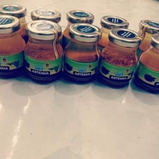 Atermia ấp sẵn UHT