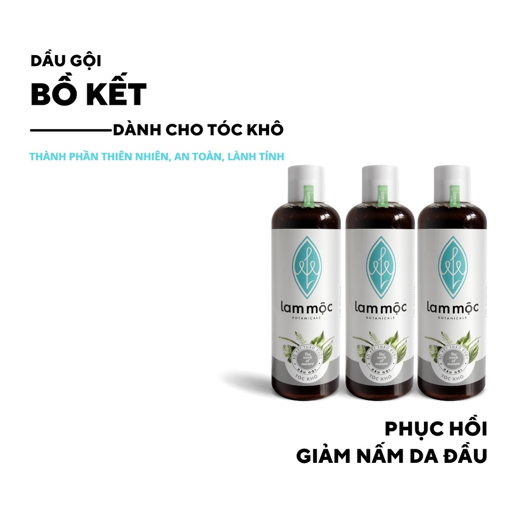 Combo 3 Dầu Gội Bồ Kết Nấu Sẵn - Giảm rụng, kích mọc tóc và phục hồi hư tổn LAM MỘC - 250ml/chai