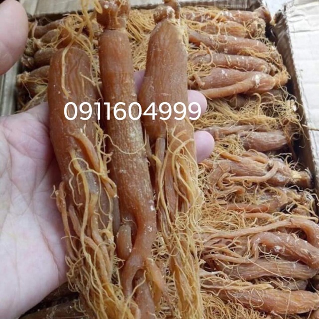 100g hồng sâm ( sâm nhị hồng )