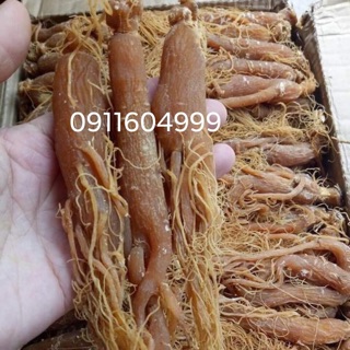 100g hồng sâm ( sâm nhị hồng )