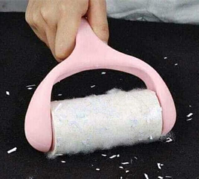 Cây Lăn Bụi Quần Áo..