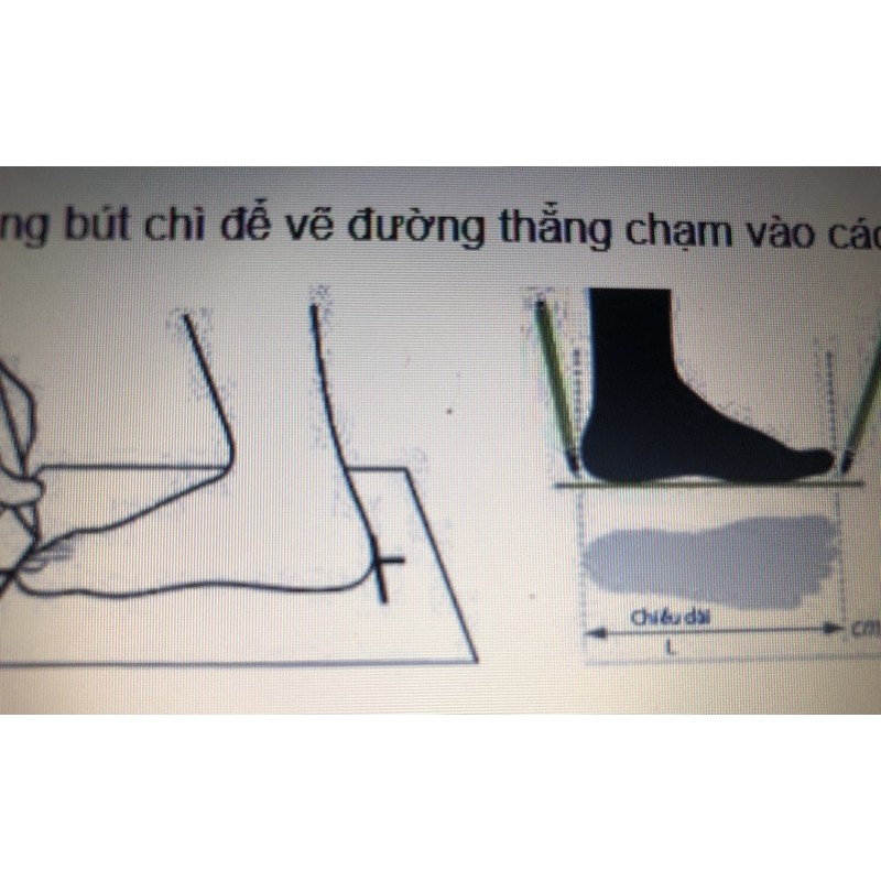 Giày bata Asia trắng sọc xanh học sinh cấp 2-3