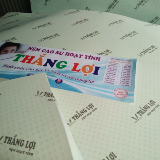 Nệm cao su non than hoạt tính Thắng Lợi 5 phân (Hàng chính hãng)