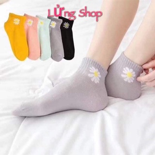Combo 2 Đôi Tất Nữ Hoa Cúc
