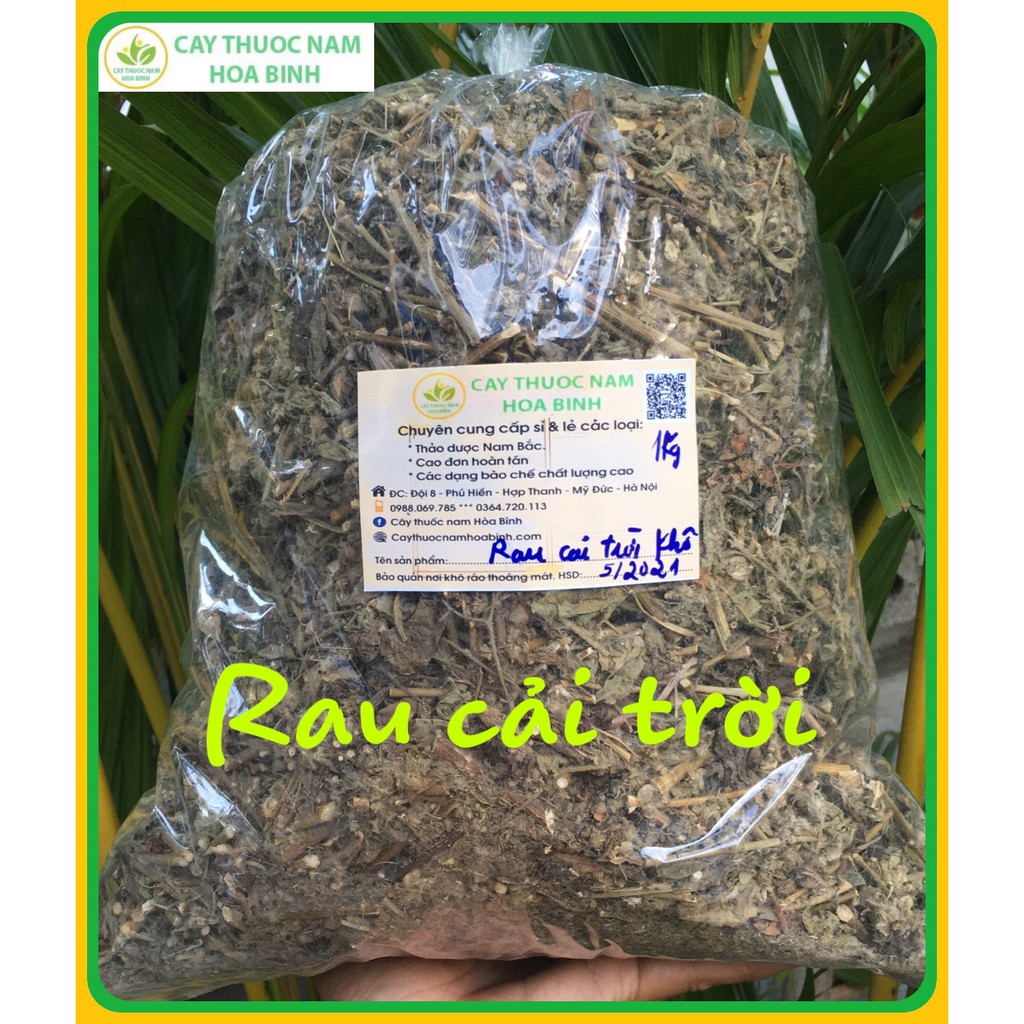 100g rau cải trời trị bướu cổ khai thác tự nhiên (khô, sạch, mới, thơm)