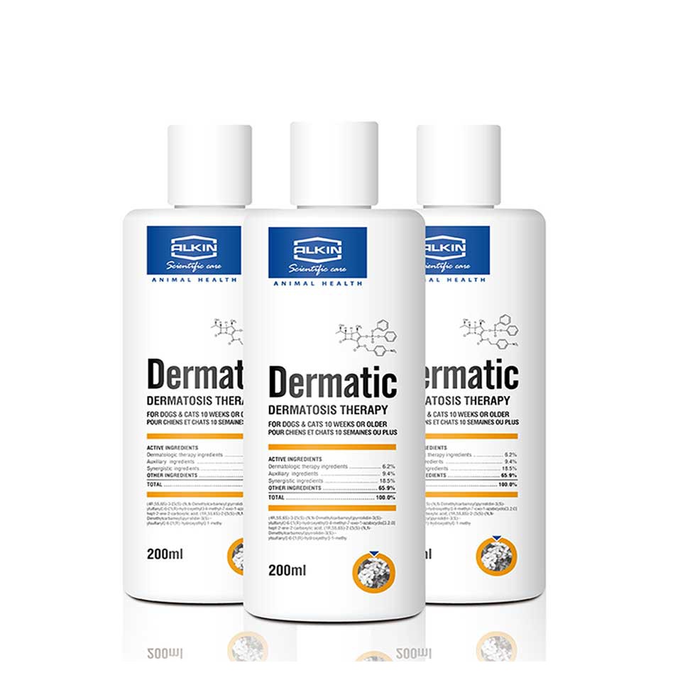DERMATIC - Dầu tắm trị gầu da mưng mủ dành cho chó mèo