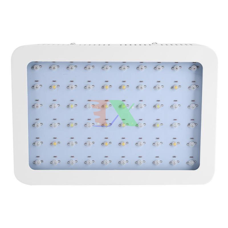 Đèn Led trồng cây 300W