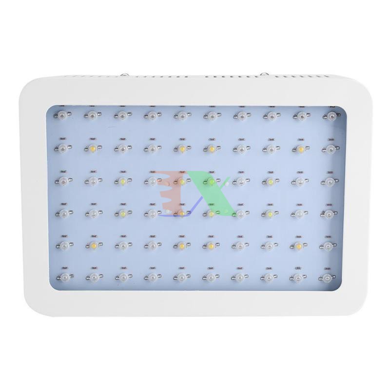 Đèn Led trồng cây 300W