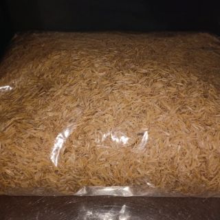 vỏ trấu trồng cây