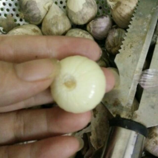 1kg tỏi cô đơn loại to đã nhặt sạch | BigBuy360 - bigbuy360.vn