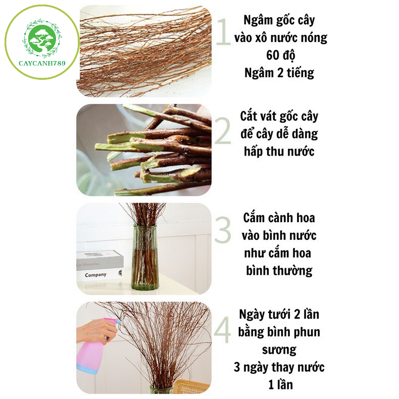 Bó hoa tuyết mai rừng ngủ đông trang trí decor cành dài 80cm