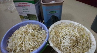 Thiết bị làm giá đỗ GV-102