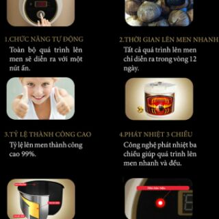 Máy làm tỏi đen bảo hành 12 tháng