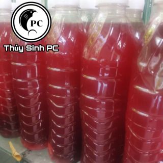 - Vi Khuẩn Quang Hợp PSB 500ml - Vi Sinh Tươi
