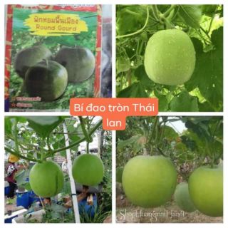 BÍ ĐAO TRÒN THÁI LAN