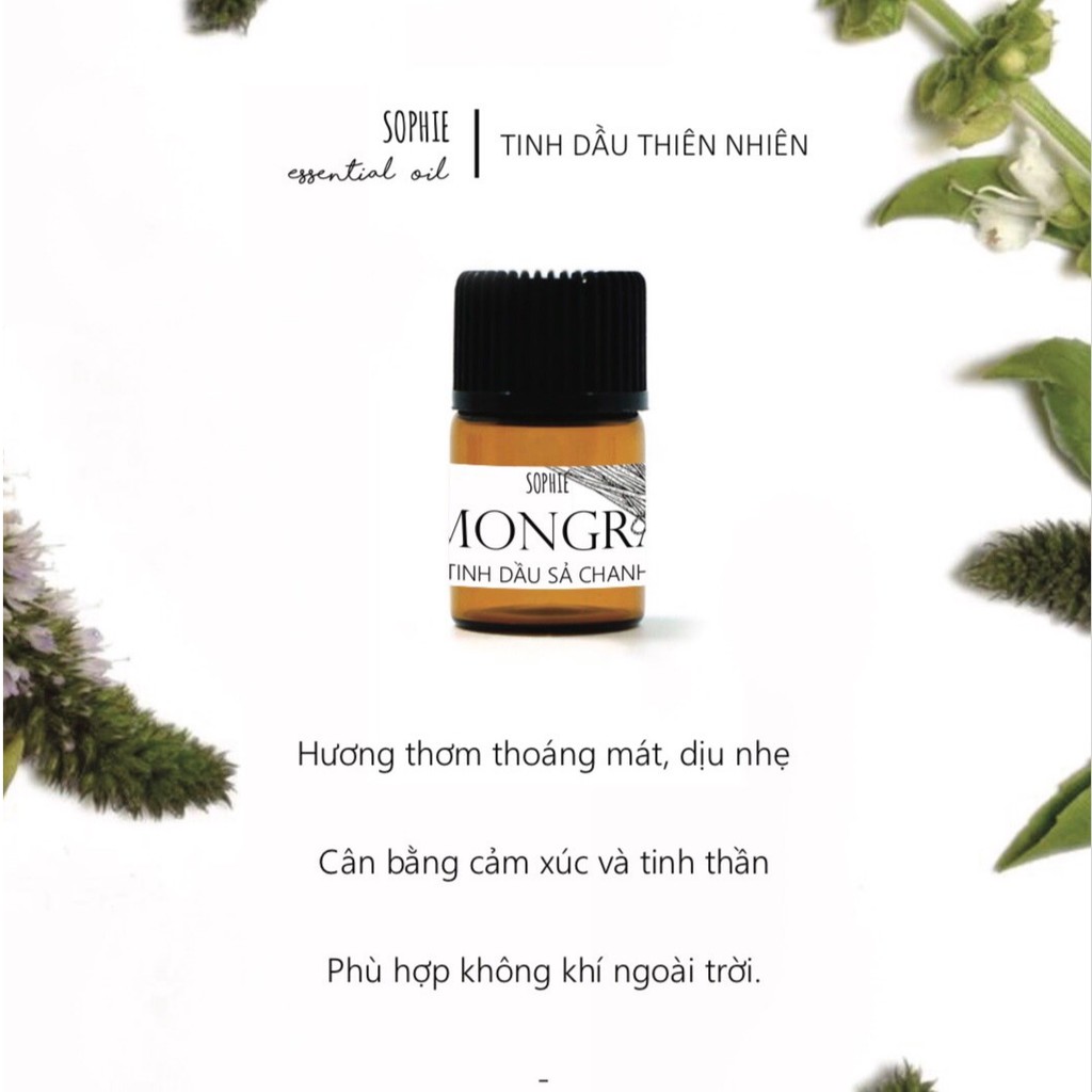 Tinh Dầu Xông Hơi Sophie Essential Oil