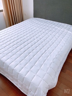Ruột chăn hè Muji