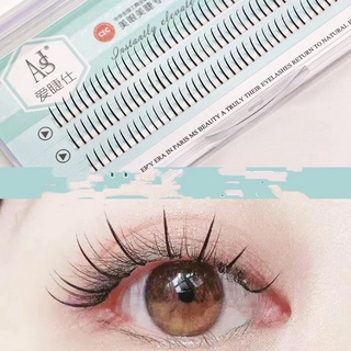 Lông mi giả tự nối chùm chữ A và thiên thần hình độ dài 9-12mm